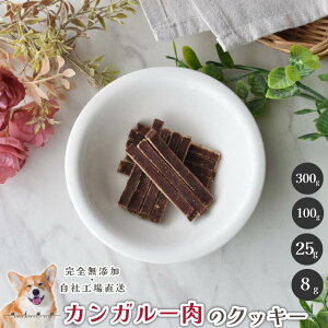 JK[̃NbL[  Y  aian  p Lp  JK[ JK[  ybg D  Oet[ J g[jO  AM[ V