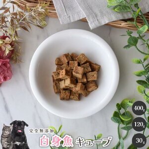 gL[u Y  aian  p Lp g  ^C L ^ L[u 肨 p Lp hbOt[h ViEU[ gCv[h