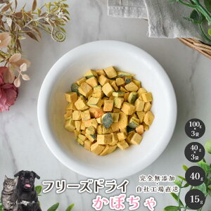 【5%OFFセール】 フリーズドライかぼちゃ 犬 無添加 おやつ aian あい庵 犬用 猫用 おやつ かぼちゃ カボチャ 野菜 フリーズドライ 国産 ペット 好き 手作り ごはん 猫用ごはん 犬用ごはん ト