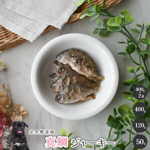 ^W[L[  Y  aian  p Lp Y ^   DHA EPA JVE tBbV o` hbOt[h H AM[ H gbsO ^ ^ ^ 