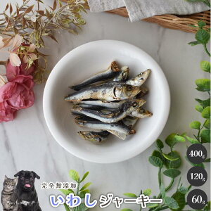 y30OFF!JÊ11/4-11/11z킵W[L[ Y  aian  p Lp 킵 CV DHA EPA 肨 p Lp hbOt[h ybgt[h JVE⋋