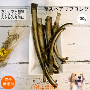 XyAuO400g  Y  aian  p Y   XyAu ΂獜 WrG  K g[c hbNt[h ̂  Ώ L ^ ^ ^