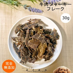 W[L[t[N30g  Y  aian  p Lp Y  イɂ W[L[ p Lp Lbgt[h L hbOt[h  r[ty3.980