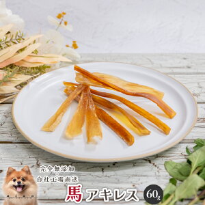 nALX60g  Y  aian  p Lp n n ALX W[L[ f^PA  XgX  p Lp Lbgt[h Ly3.