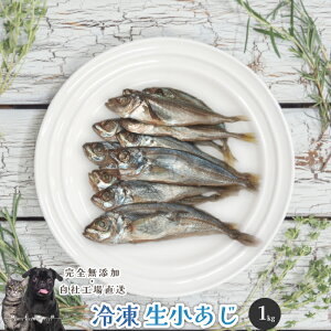 y10OFFZ[z Ⓚ1kg  Y  aian  p Lp hbOt[h Ⓚ  H AM[ Y   AW   tBbV H gbsO ^ 