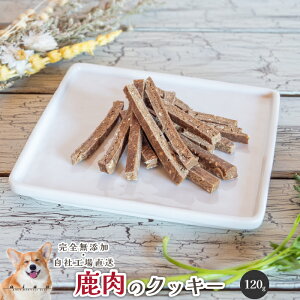 ̃NbL[120g  Y  aian  p   Y  hbOt[h NbL[ Ic   lC  v[g ĕ  ybg ybgt[h h{_ ^