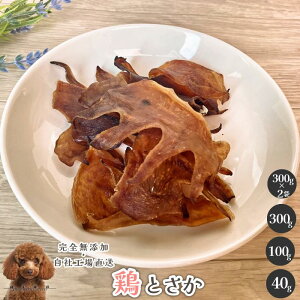 y5OFF!JÊ11/4-11/11z{Ƃ Y  aian  p Lp {Ƃ Ƃ p Y{ YƂ hbOt[h f^PA XgX  J