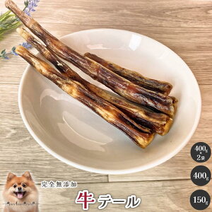 e[  Y  aian  p p Ye[ Y イɂ W[L[ p f^PA  XgX