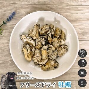 t[YhCy  Y  aian  p Lp t[YhC JL y a p Lp J[ hbOt[h Lbgt[h