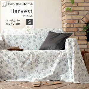 _MAX15coupon^Harvest n[xXg 100 }`Jo[ S 150×210cm OC Rbg100% ڂڂȂ D Xeb` \t@Jo[ xbhJo[ xbhXvbh Fab the Home t@uEUEz[ 