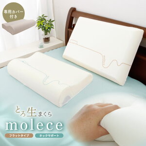 _SSN[|^Ƃ됶܂ molece `F E^  ᔽ pJo[t tbg^Cv 40×60cm lbNT|[g^Cv 35×55cm  zt ӂ 炩 ܂ k 