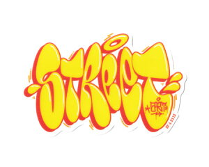 100~XebJ[ AJ    oCN X}z AEghA Lv X|cP[X OtBeB Xg[g AJG STREET y[OKzQSC-100-2112-AHD