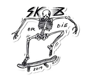 100~XebJ[ XP{[ XJ AJ  낢   oCN X}z AEghA Lv X|cP[X Xg[g AJG SK8 2019 y[OKzQSC-100-2