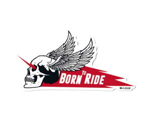 100~XebJ[ AJ    oCN X}z AEghA Lv X|cP[X XJ AJG WING SKULL y[OKzQSC-100-3119-AHD