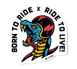 100~XebJ[ AJ    oCN X}z AEghA Lv X|cP[X Xl[N AJG BIKER SNAKE y[OKzQSC-100-3120-AHD