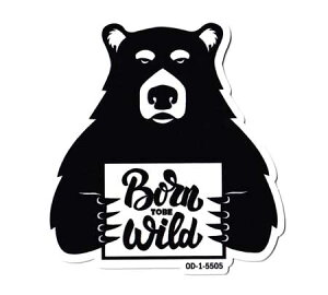 100~XebJ[ AEghA Lv F AJ    oCN X}z X|cP[X AJG BORN TO BE WILD y[OKzQSC-100-5505-AHD