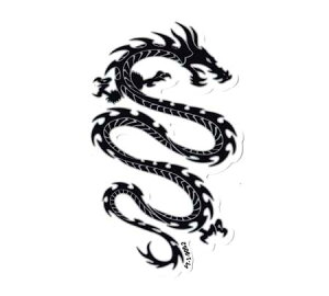 100~XebJ[ hS  AJ   oCN X}z AEghA Lv X|cP[X AJG TRIBAL DRAGON y[OKzQSC-100-9052-AHD