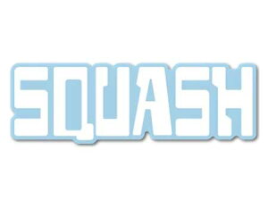 z_ HONDA XebJ[ S oCN    wbg X[cP[X J[XebJ[ XJbV SQUASH y[OKzQSC-HND030-GEN