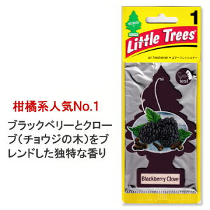 gc[ F  AJ GA[tbVi[ J[pi J[ANZT[ Little Trees M[TCY ubNx[N[u y[OKzQAF-AF17343-MON