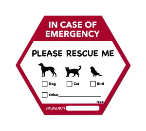 ybgXL[XebJ[ ybg XebJ[ ЊQ ΍ nk ~  L  AJ  킢 AJG Qy[OKzSC-PER-6-AHD