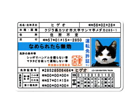 なめ猫 ステッカー かわいい レトロ 昭和 懐かしい 猫 グッズ 免許証03 ヒゲオ 【メール便OK】＿SC-LCS1309-GEN