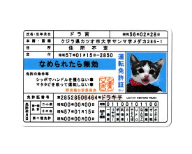 なめ猫 ステッカー かわいい レトロ 昭和 懐かしい 猫 グッズ 免許証05 ドラ吉 【メール便OK】＿SC-LCS1311-GEN