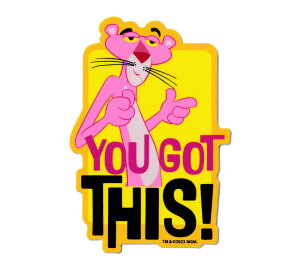 sNpT[ XebJ[ AJ LN^[ AJ  킢  X}z  oCN J[XebJ[  qE AJG Pink Panther 60NLO YOU GOT THIS! 