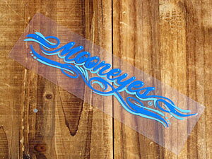 [ACY XebJ[  AJ  oCN wbg  J[XebJ[ A zbgbh MOONEYES ]ʎ t[ sXgCv u[ y[OKzQSC-DM