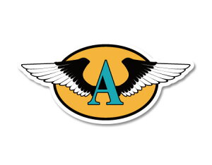 XebJ[ AJ  ~^[   AEghA X[cP[X oCN J[XebJ[ q ArG[V ArG[^[ ECO H US AVIATION BADGES FLING A I[o 