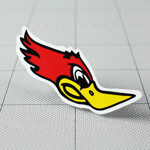 XebJ[ AJ  oCN   wbg M^[ XP{[ J[XebJ[ AJG EbhybJ[ RED BIRD E y[OKzQSC-141-GEN