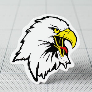 XebJ[ AJ  oCN   wbg M^[ XP{[ J[XebJ[ AJG  C[O EAGLE E y[OKzQSC-236-GEN