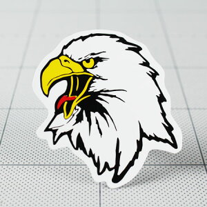 XebJ[ AJ  oCN   wbg M^[ XP{[ J[XebJ[ AJG  C[O EAGLE  y[OKzQSC-237-GEN