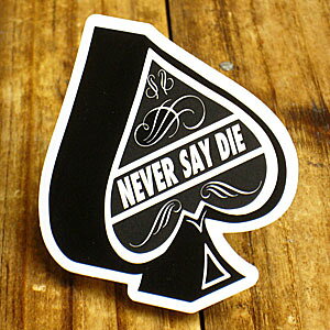 XebJ[  AJ  oCN wbg  Ƃ킴 J[XebJ[ urŒ߂ȁv y[OKzQSC-PS169-SXW