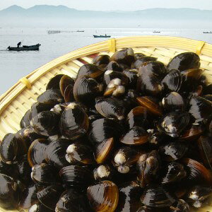 ΎYa݁i}gVW~jMTCYE2kgiEρEVstjy]sEOIzy①N[ցz