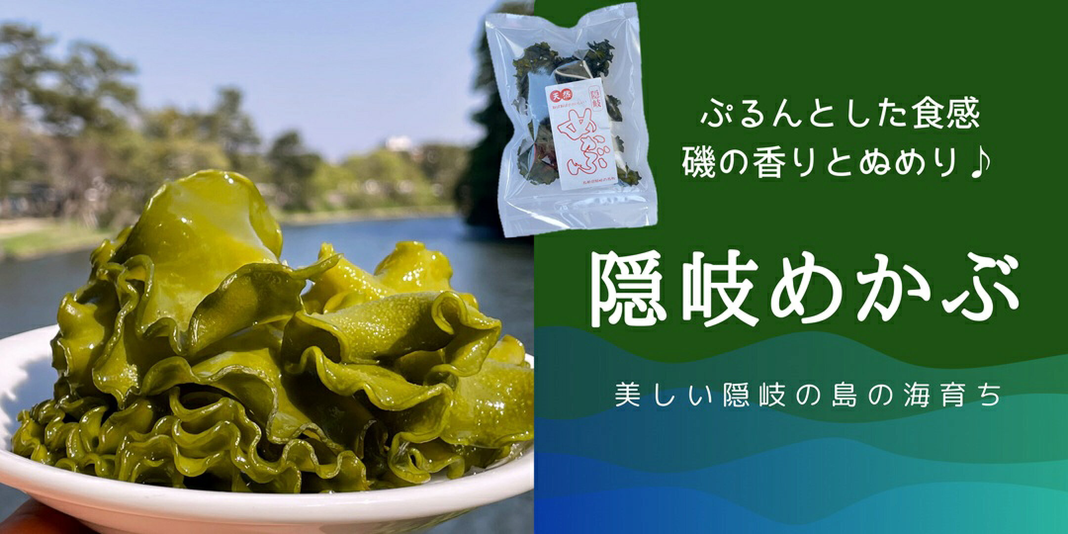 美しい海育ち「隠岐めかぶ」ぷるんと上質ぬめりが美味しい♪