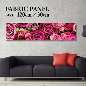 t@ubNpl A[gpl CeA 120x30cm A[g{[h CeAA[gpl lCeBu  AWA GXjbN ԕ KN o t[ sN