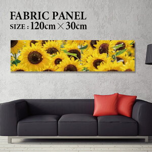 t@ubNpl A[gpl CeA 120x30cm A[g{[h CeAA[gpl lCeBu  AWA GXjbN ԕ KN o t[ sN