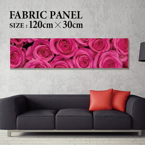 t@ubNpl A[gpl CeA 120x30cm A[g{[h CeAA[gpl lCeBu  AWA GXjbN ԕ KN o t[ sN