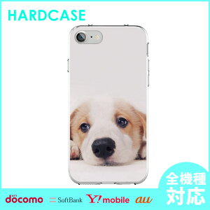 �X�}�z�P�[�X �n�[�h�P�[�X �S�@��Ή� iPhone17 Air 17e iPhone16 SE Pixel 9a 8a Galaxy AQUOS �P�[�X �� �y�b�g ���� ���킢�� �A�j�}�� �������