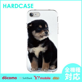 楽天市場 Iphone7ケース 犬の通販