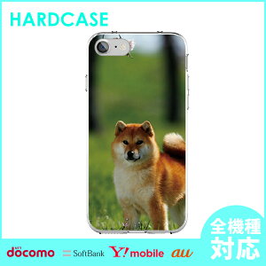 �X�}�z�P�[�X �n�[�h�P�[�X �S�@��Ή� iPhone17 Air 17e iPhone16 SE Pixel 9a 8a Galaxy AQUOS �P�[�X �� �y�b�g ���� ���킢�� �A�j�}�� �������