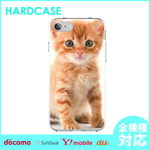 �X�}�z�P�[�X �n�[�h�P�[�X �S�@��Ή� iPhone17 Air 17e iPhone16 SE Pixel 9a 8a Galaxy AQUOS �P�[�X �l�R �y�b�g ���� ���킢�� �A�j�}�� �������