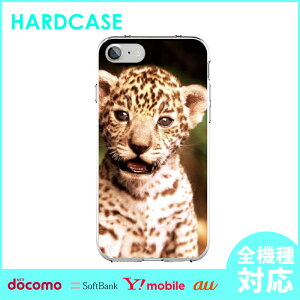 �X�}�z�P�[�X �n�[�h�P�[�X �S�@��Ή� iPhone17 Air 17e iPhone16 SE Pixel 9a 8a Galaxy AQUOS �P�[�X �A�j�}�� ���킢�� �ʐ^ ����