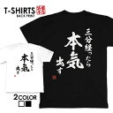 tシャツ ネタtシャツ 送料無料 tee おもしろtシャツ おもしろ雑貨 漢字 文字 メッセージtシャツ ネタtシャツ 文字tシャツ パロディTシャツ ふざけtシャツグッズ メンズ レディース 名言 格言 語録 パロディ プレゼント ギフト 名言 半袖 S M L XL ティーシャツ