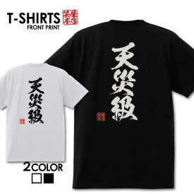 おもしろTシャツ 文字Tシャツ パロディ ふざけtシャツ 名言 プレゼント ギフト 名言 半袖 S M L XL 送料無料 メンズ