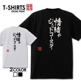 おもしろTシャツ 文字Tシャツ パロディ ふざけtシャツ 名言 プレゼント ギフト 名言 半袖 S M L XL 送料無料 メンズ