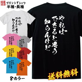 おもしろ Tシャツ ネタtシャツ 誕生日 プレゼント 漢字 文字 メッセージtシャツ ネタtシャツ 文字tシャツ パロディTシャツ ふざけtシャツ メンズ レディース 名言 格言 語録 パロディ プレゼント ギフト 名言 半袖 S M L XL プリントスター