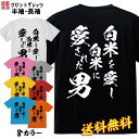 おもしろ Tシャツ ネタtシャツ 誕生日 プレゼント 漢字 文字 メッセージtシャツ ネタtシャツ 文字tシャツ パロディTシャツ ふざけtシャツ メンズ レディース 名言 格言 語録 パロディ プレゼント ギフト 名言 半袖 S M L XL プリントスター