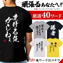 tシャツ ネタtシャツ tee おもしろtシャツ おもしろ雑貨 漢字 文字 メッセージtシャツ ネタtシャツ 文字tシャツ パロディTシャツ ふざけtシャツグッズ メンズ レディース 名言 格言 語録 パロディ プレゼント ギフト 名言 半袖 S M L XL ティーシャツ