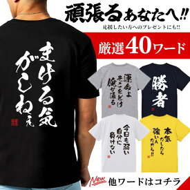 tシャツ ネタtシャツ tee おもしろtシャツ おもしろ雑貨 漢字 文字 メッセージtシャツ ネタtシャツ 文字tシャツ パロディTシャツ ふざけtシャツグッズ メンズ レディース 名言 格言 語録 パロディ プレゼント ギフト 名言 半袖 S M L XL ティーシャツ
